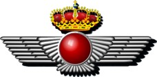 Ejército del Aire